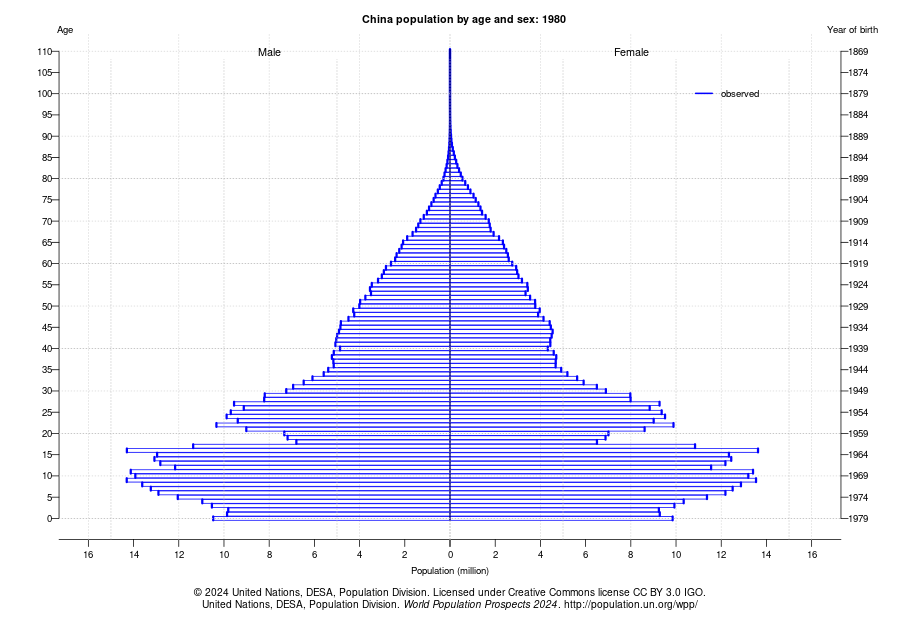 China Population Pyramid 1980