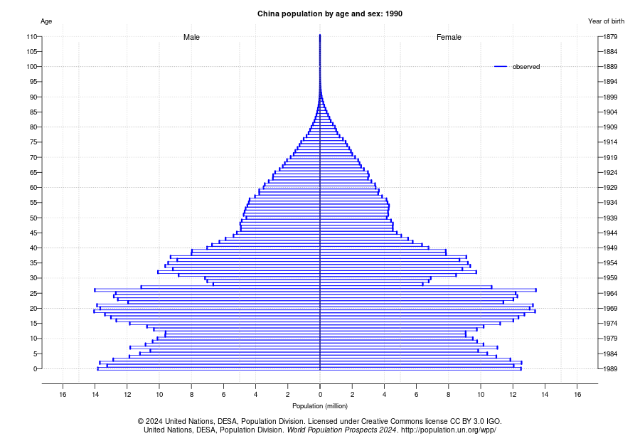 China Population Pyramid 1990