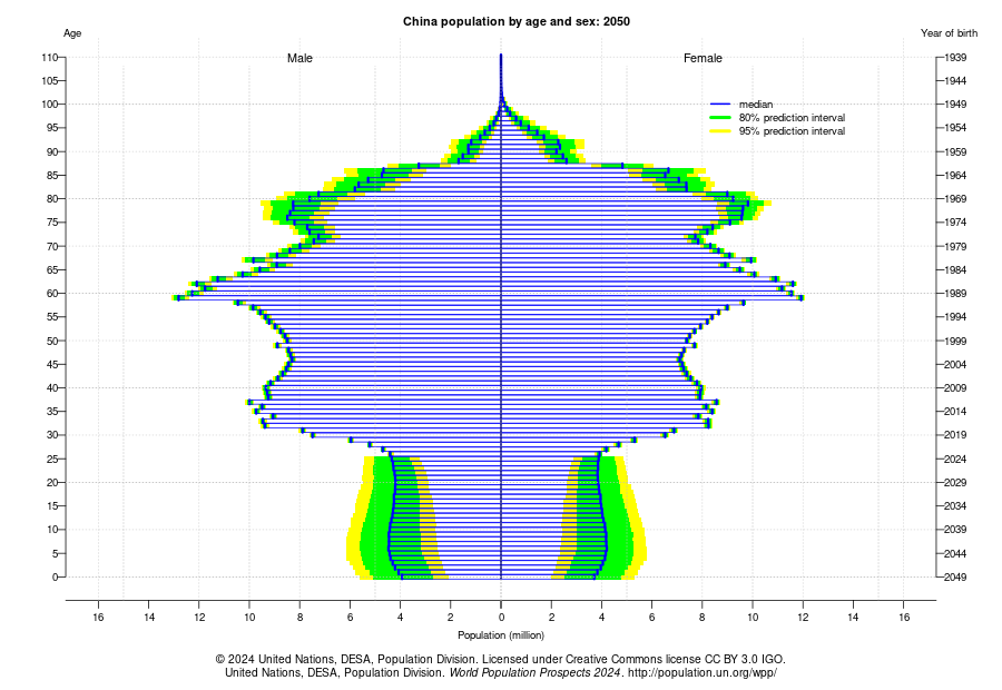 China Population Pyramid 2050