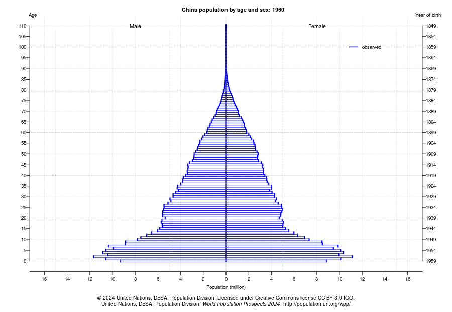 China Population Pyramid 1960